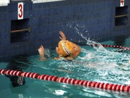 Photos Saison 2014-2015 &raquo; Journée des 4 Nages