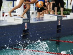 Photos Saison 2014-2015 &raquo; Journée des 4 Nages