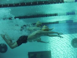 Photos Saison 2014-2015 &raquo; Journée des 4 Nages