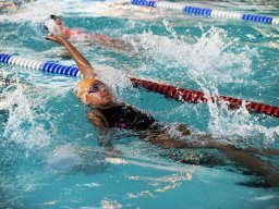 Photos Saison 2014-2015 &raquo; Journée des 4 Nages