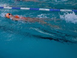 Photos Saison 2014-2015 &raquo; Journée des 4 Nages