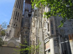 DSCN3366