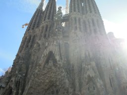 DSCN3385
