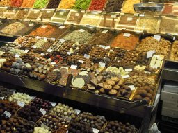 Photos Saison 2014-2015 &raquo; Stage à Granollers (Espagne)