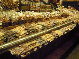 Photos Saison 2014-2015 &raquo; Stage à Granollers (Espagne)