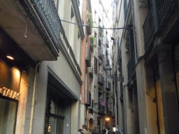 DSCN3509