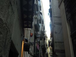 DSCN3510