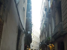 DSCN3516