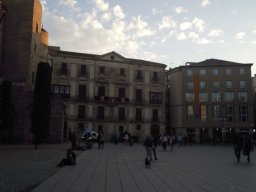 DSCN3521