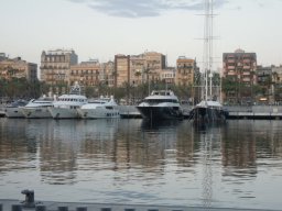 DSCN3537