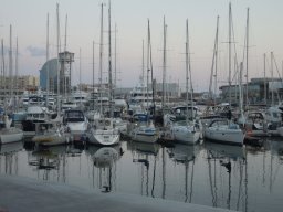 DSCN3539
