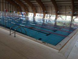 IMG_1526