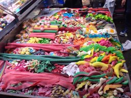 Photos Saison 2014-2015 &raquo; Stage à Granollers (Espagne)