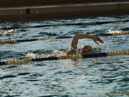Photos Saison 2016-2017 &raquo; 24h de natation de Villemomble