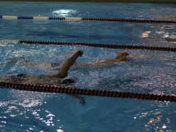 Photos Saison 2016-2017 &raquo; 24h de natation de Villemomble