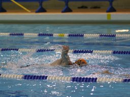 Photos Saison 2016-2017 &raquo; 24h de natation de Villemomble