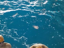 Photos Saison 2016-2017 &raquo; Journée départemental Qualif