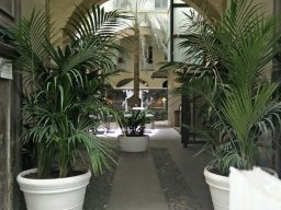 Photos Saison 2017-2018 &raquo; Stage Sicile