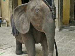 Photos Saison 2017-2018 &raquo; Stage Sicile