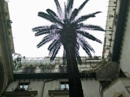 Photos Saison 2017-2018 &raquo; Stage Sicile