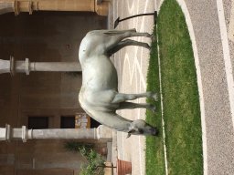 Photos Saison 2017-2018 &raquo; Stage Sicile