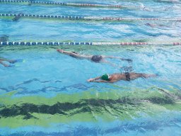 photo-2024-04-17-15-16-40